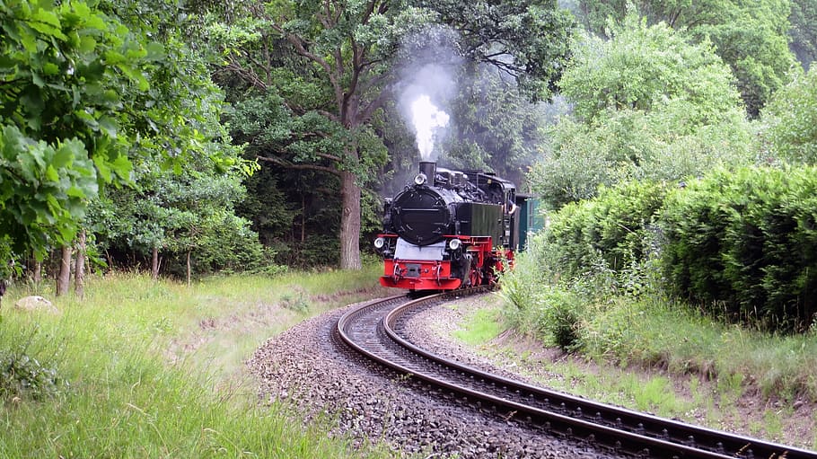 Rasender Roland, Railway, narrow gauge railway, rügen, steam locomotive