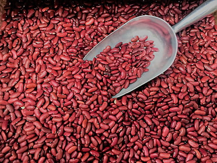 red, kidney, bean, beans, legume, vegetarian, ingredient, protein HD wallpaper