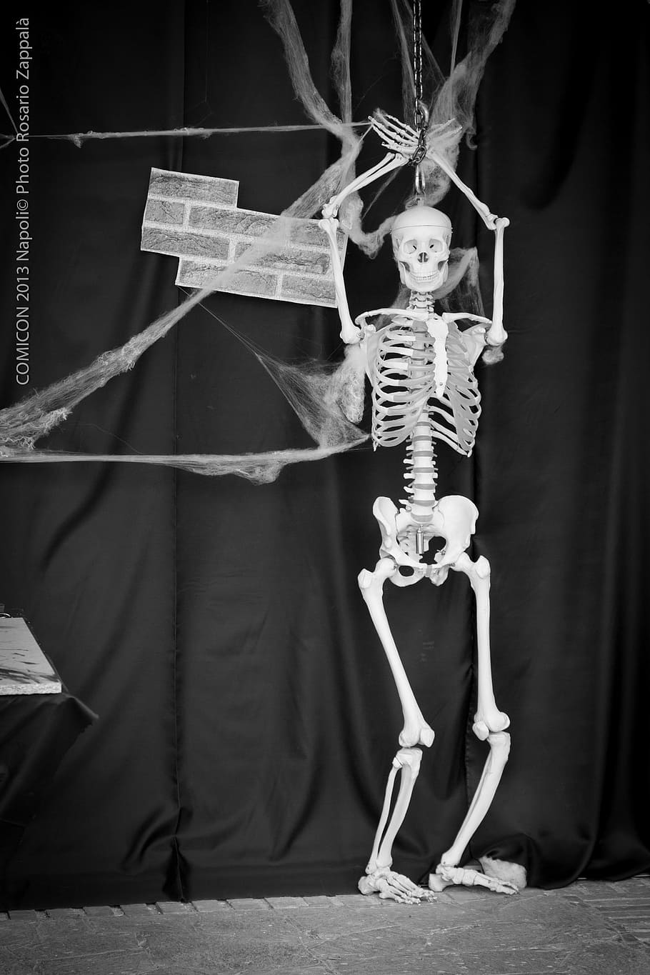 comicon, comix, naples, bone, human skeleton, human bone, human representation HD wallpaper