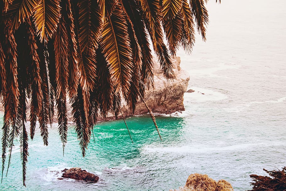 sea, ocean, water, wave, nature, rock, cliff, tree, beauty in nature HD wallpaper