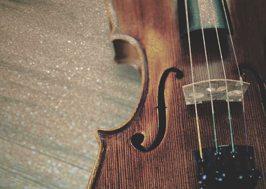 brown violin in focus photography, fiddle, instrument, string, HD wallpaper