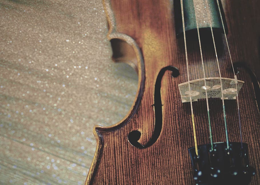 brown violin in focus photography, fiddle, instrument, string HD wallpaper
