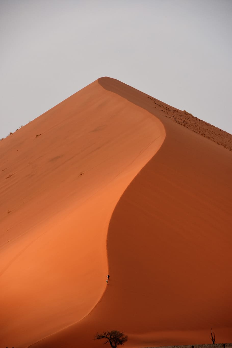 desert, dune, sossusvlei, africa, namibia, sand dune, land, HD wallpaper