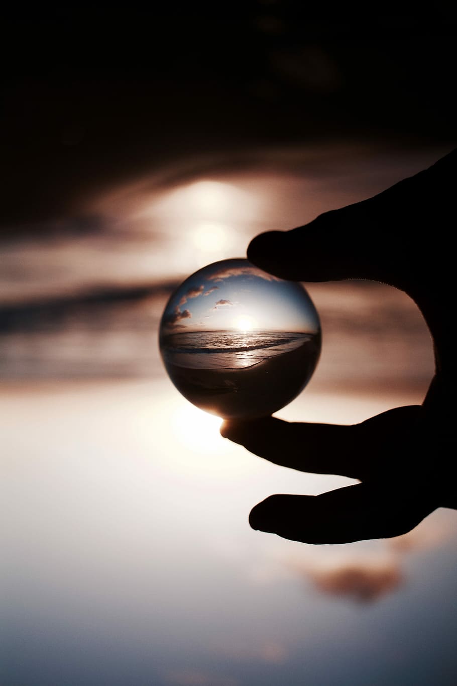 selective focus photography of glass globe with picture of seat, person holding bauding ball HD wallpaper