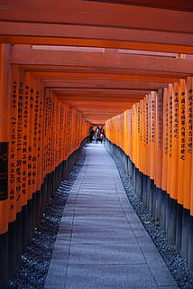 person walking on orange and gray hallway, away, target, travel HD wallpaper