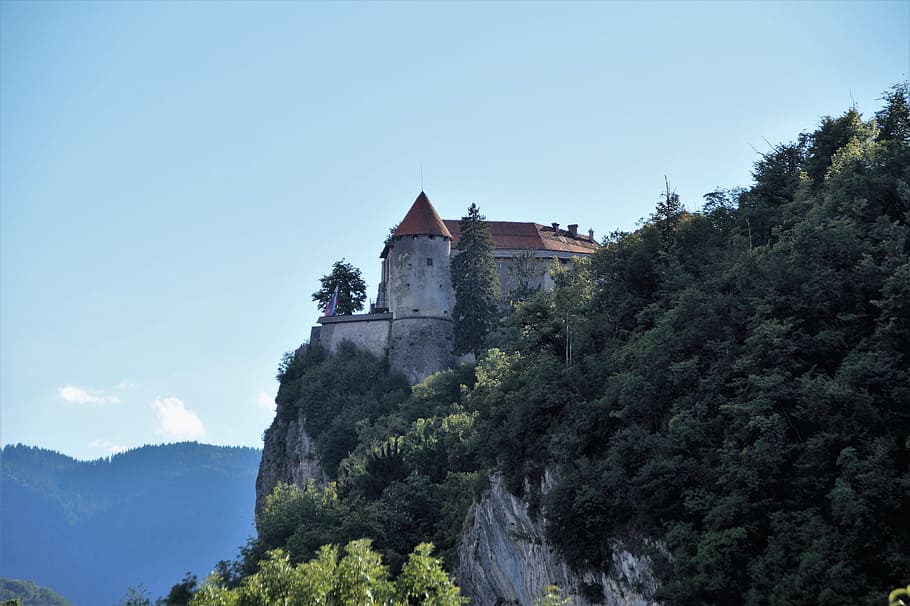 bled castle, rock, monument, slovenia, julian alps, medieval construction HD wallpaper