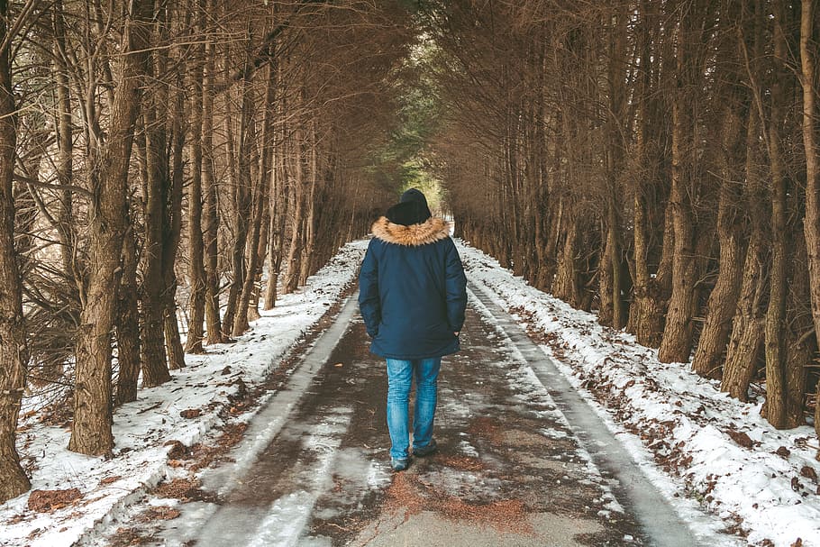 person walking on road covered snow, person walking on empty dirt road between brown trees during daytime HD wallpaper