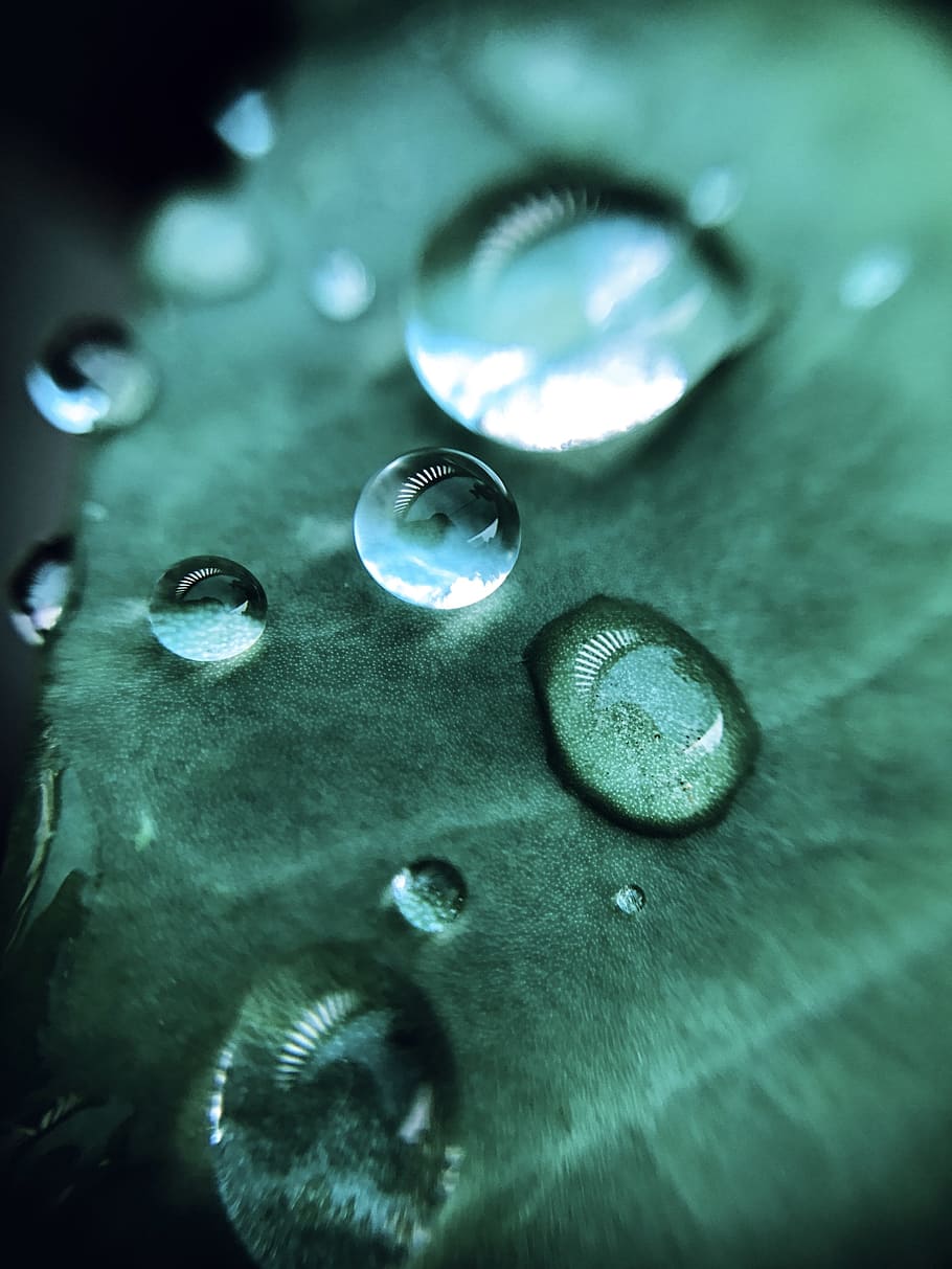 rain, drops, droplet, close-up, selective focus, no people HD wallpaper