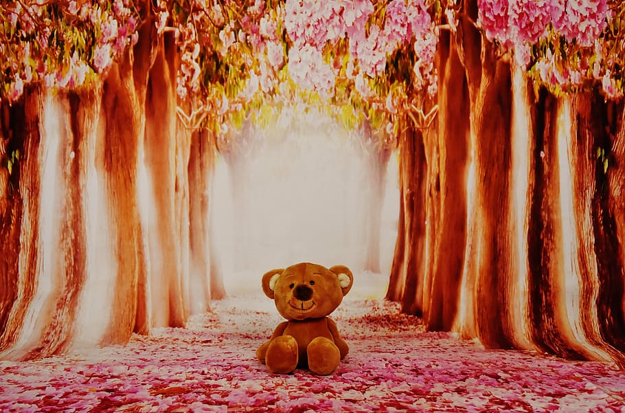 brown bear plush toy in the middle of forest, teddy, trees HD wallpaper