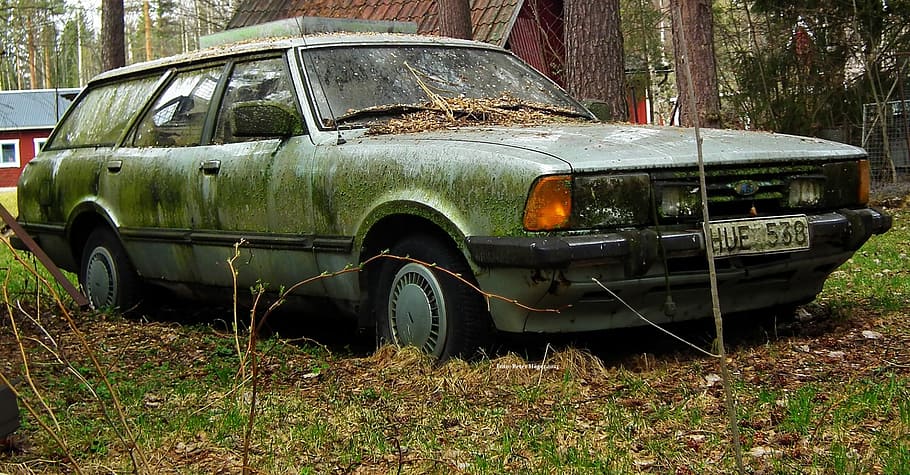 green station wagon covered in moss next to brown tree, ford, HD wallpaper