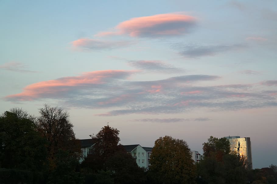 Sky, Clouds, Ulm, City, Home, Maritime, no people, tree, built structure HD wallpaper