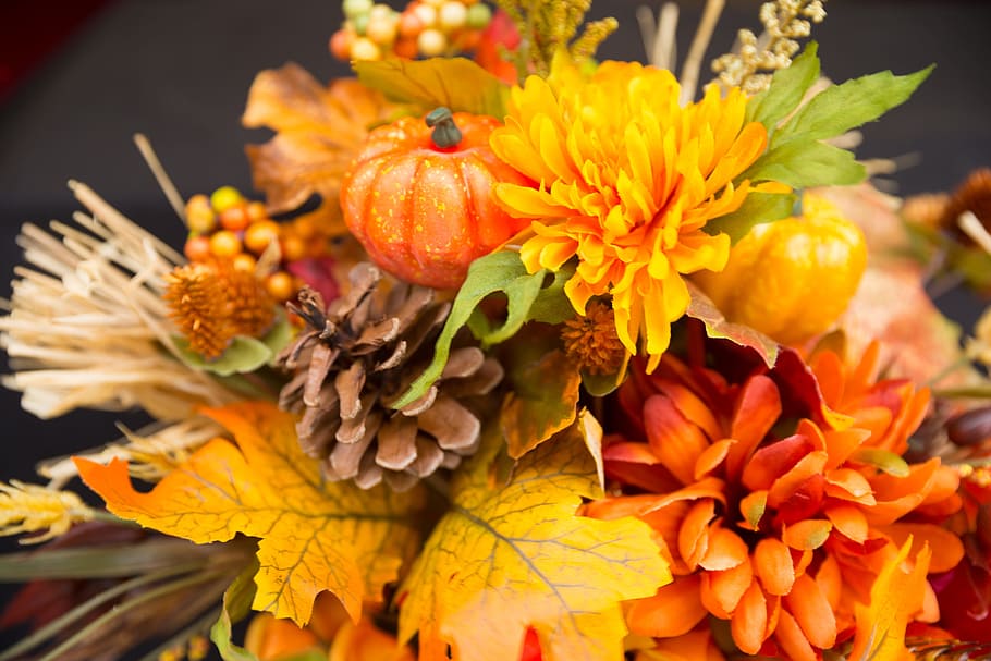 close-up photography of yellow and orange petaled flowers, fall flowers, HD wallpaper