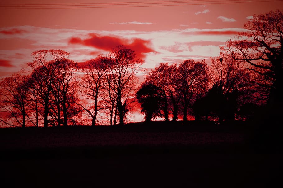 Sunset, Red Sky, Nature, Silhouette, landscape, outdoor, scenery HD wallpaper