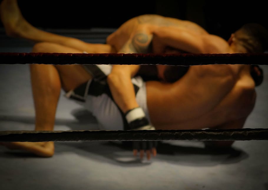 two men grappling each other, mma, photo, wrestling, fighting, HD wallpaper