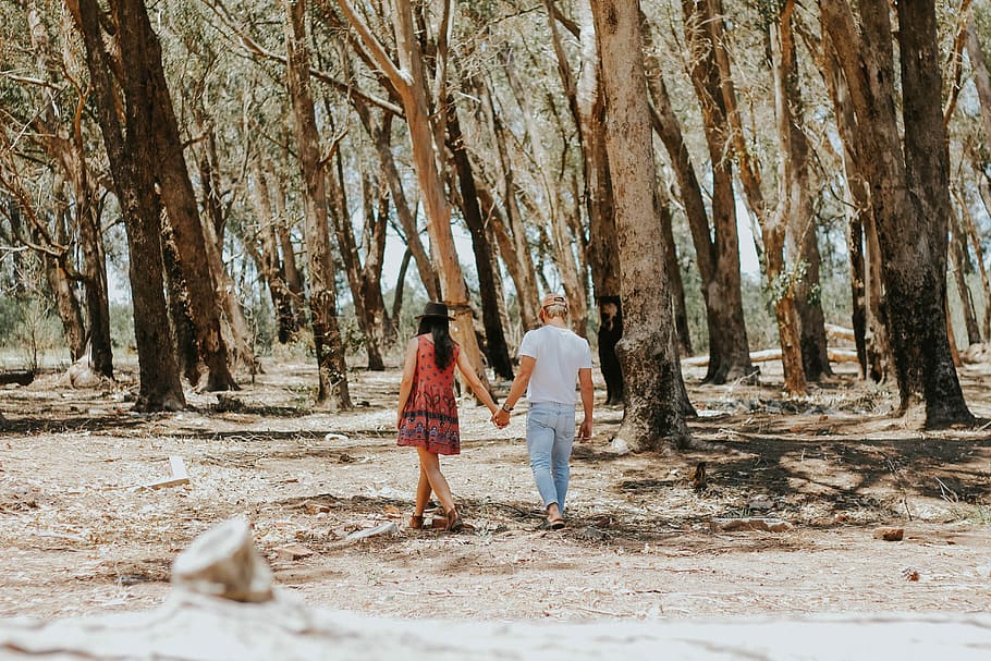 man and woman holding hands while walking under tree, man and woman walking near trees at daytime, HD wallpaper