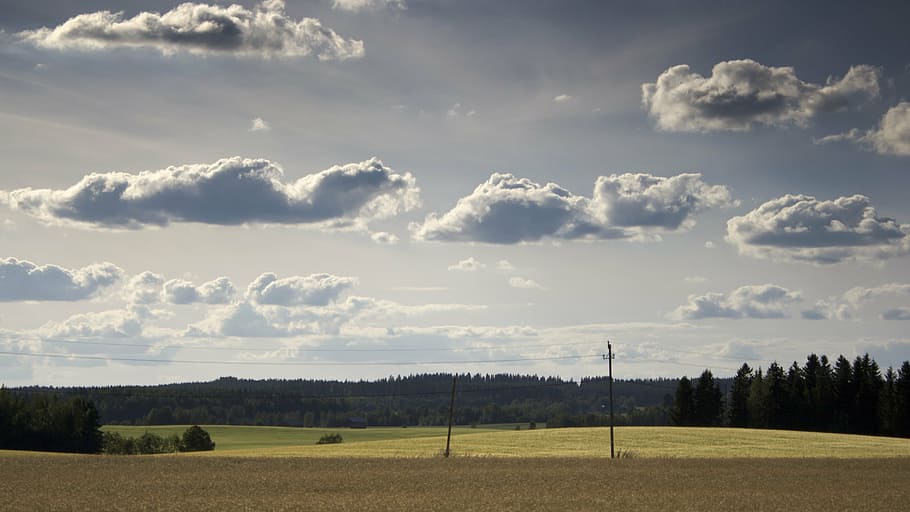 field, sky, county, side, countryside, landscape, nature, outdoor HD wallpaper