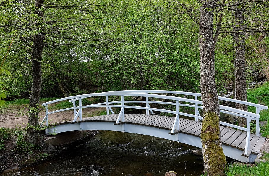 empty bride surrounds by trees, bridge, old bridge, bridges HD wallpaper