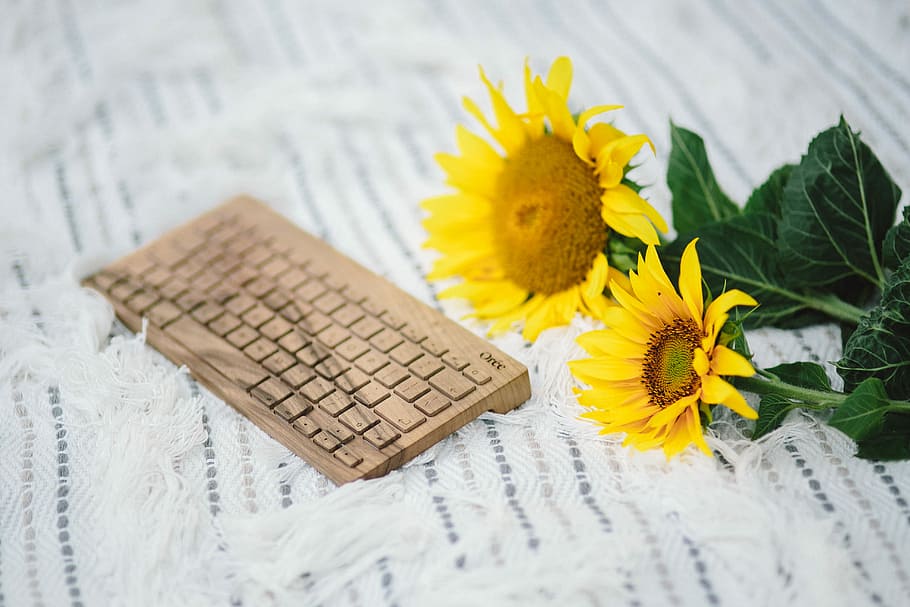 Resting on a blanket, summer, white, tech, keyboard, technology HD wallpaper