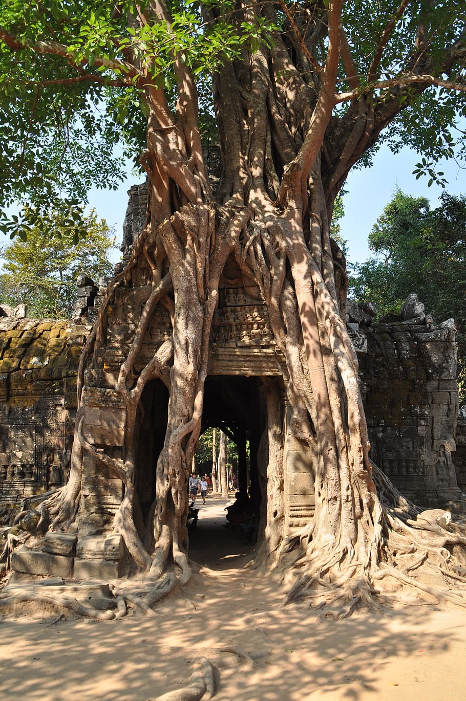 angkor, hinduism, faces, temple complex, history, sculpture HD wallpaper