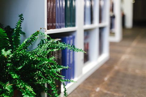 A visit to the bookstore, bookshop, knowledge, no People, christmas HD wallpaper