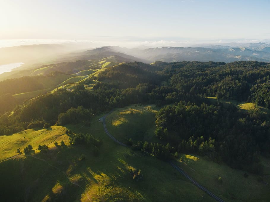 birds eye view of trees and mountains, green, grass, path, plant HD wallpaper