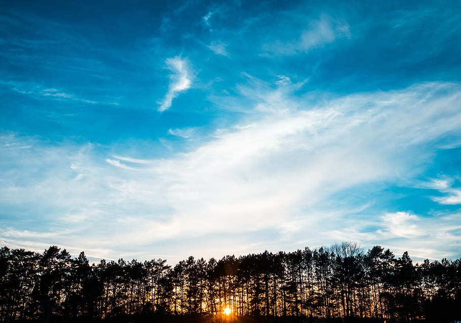 untitled, silhouette, trees, white, clouds, blue, sky, sunset HD wallpaper