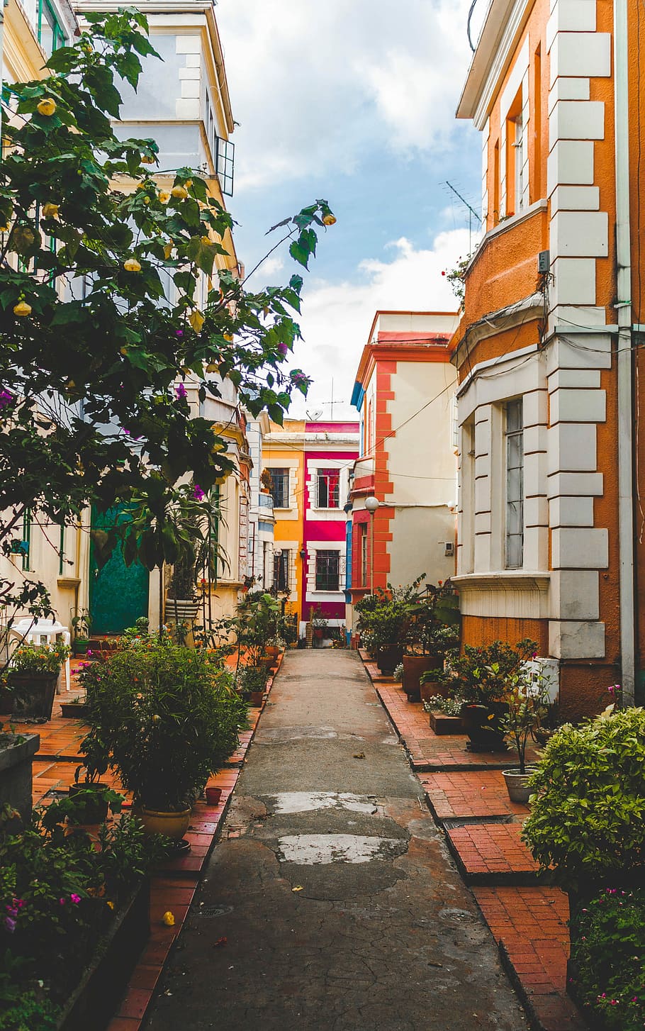 photo of narrow road beside concrete houses during daytime, orange and white concrete building with flowers at daytime HD wallpaper