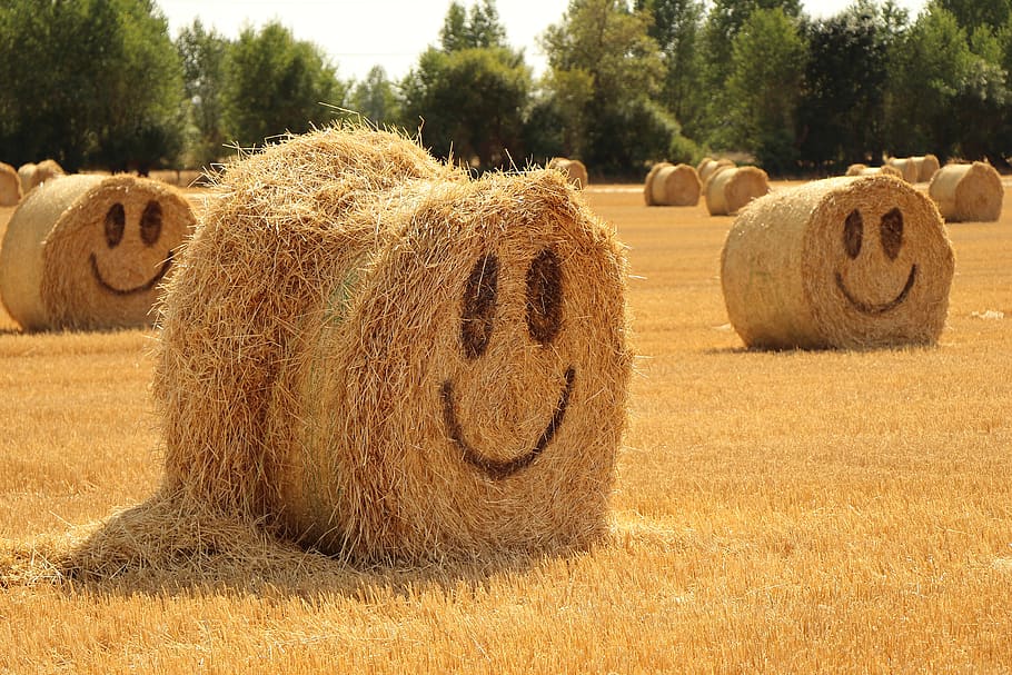 straw, halmballe, agriculture, harvest, summer, happy, smiley, HD wallpaper