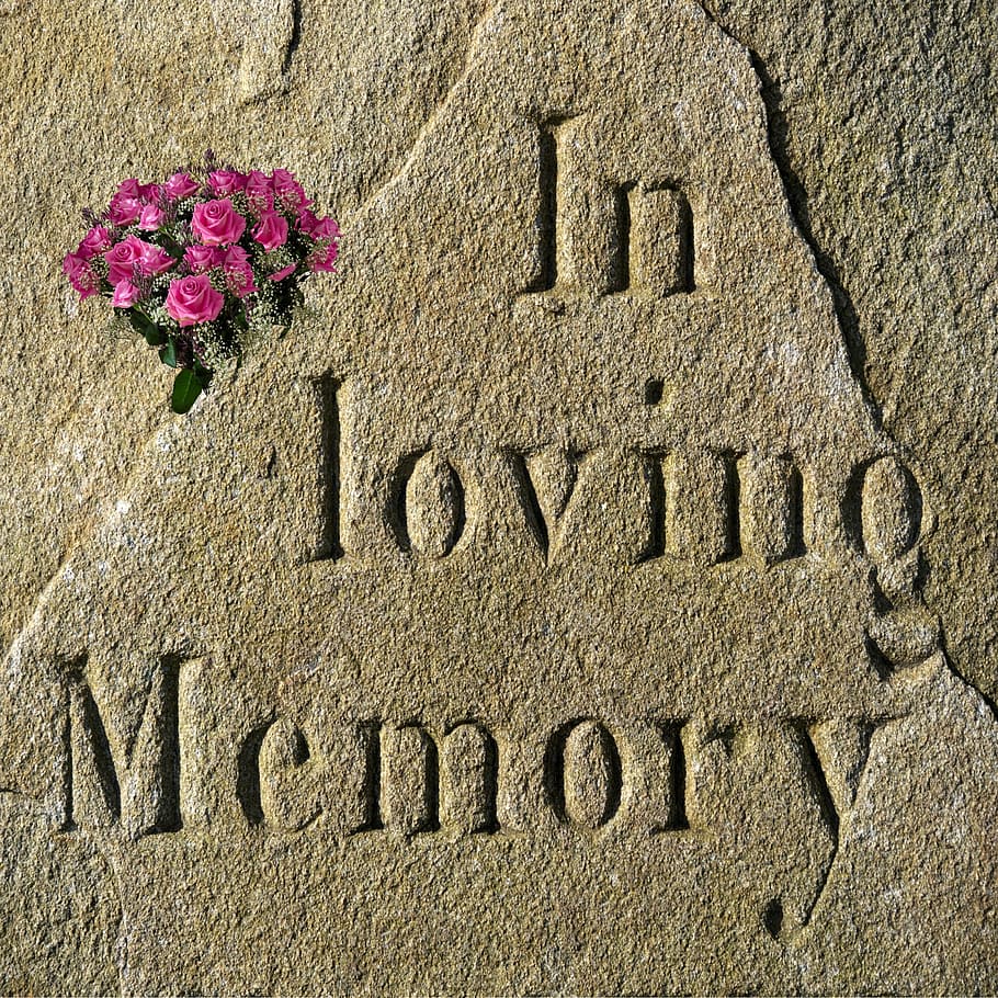 pink rose flower bouquet, honor, memory, remembrance, memorial, HD wallpaper