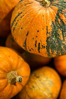 Close-ups of pumpkins in a wooden box, orange, vegetable, autumn HD wallpaper