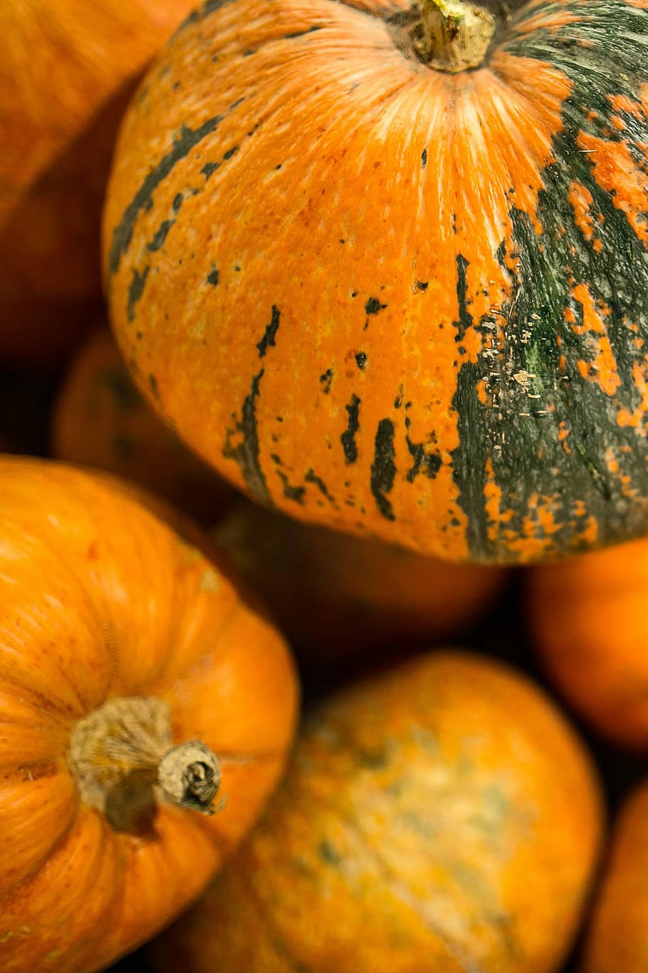 Close-ups of pumpkins in a wooden box, orange, vegetable, autumn HD wallpaper