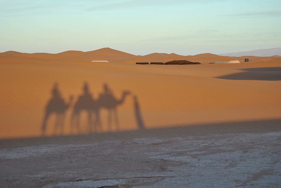 Morocco, Shadow, Sand, Desert, chegaga, camel, real people HD wallpaper