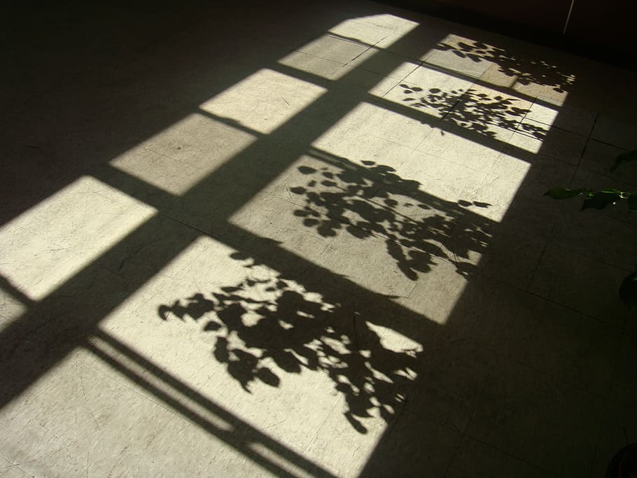 shadows, after the afternoon, sunlight, high angle view, non-western script HD wallpaper
