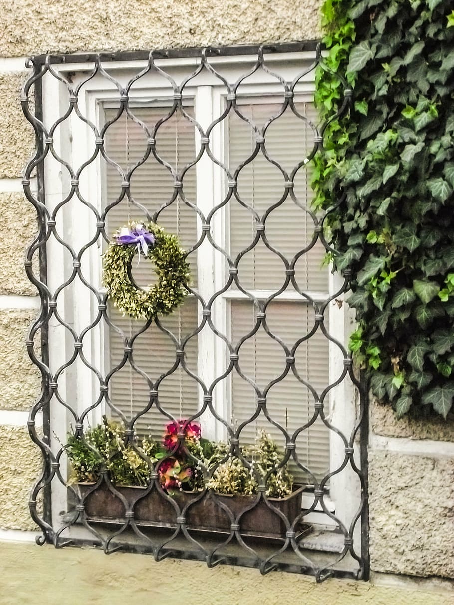 home, building, wall, window, facade, architecture, krems, plant HD wallpaper