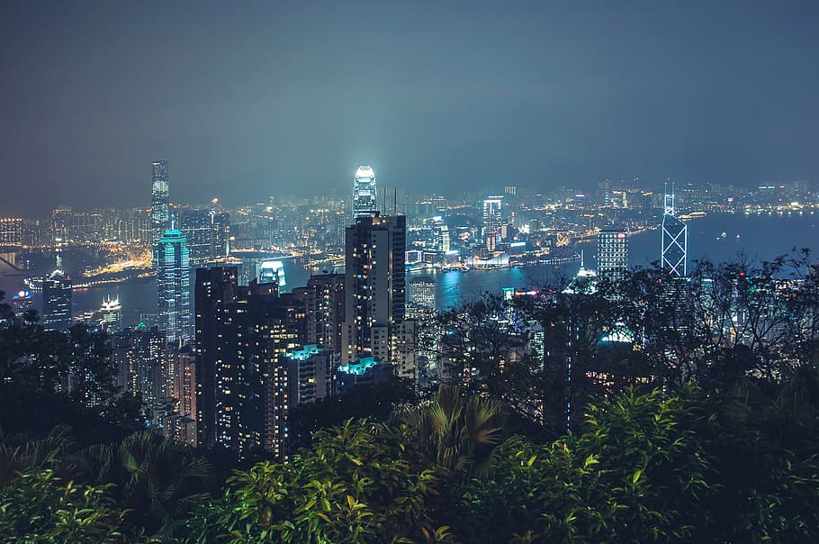 trees near highrise buildings at night, structure, sky, infrastructure HD wallpaper