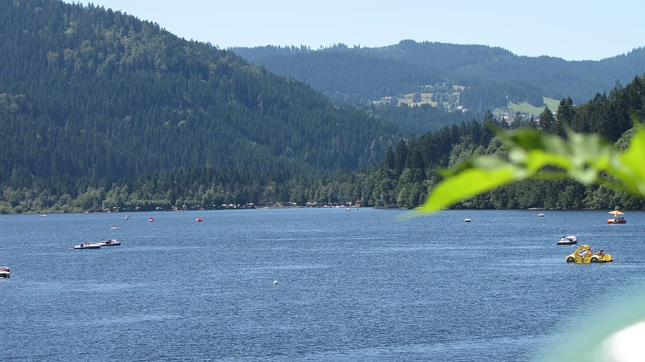 titisee, black forest, blue, lake, water, tree, mountain, scenics - nature HD wallpaper
