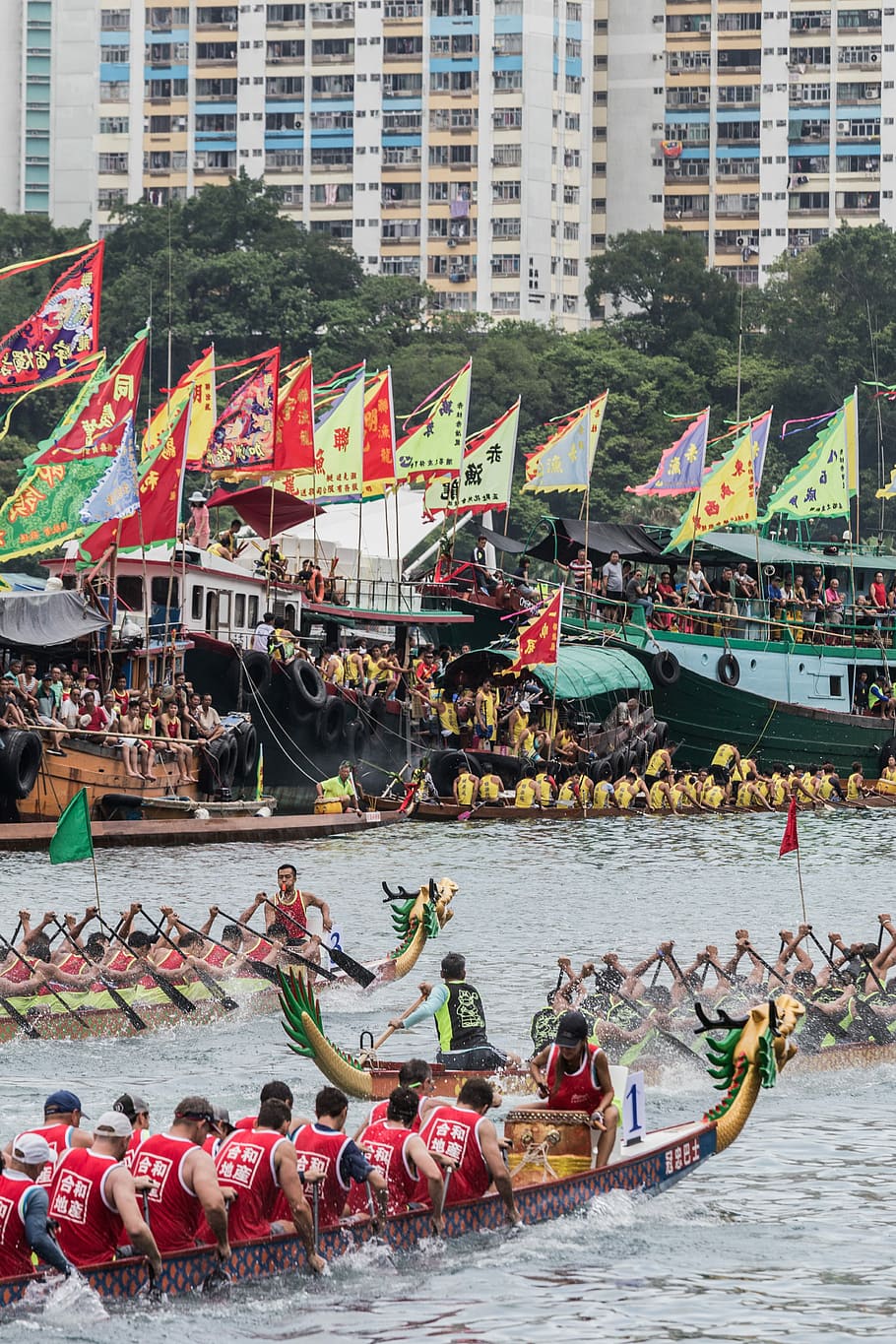 group of people riding dragon boat on water, group of people racing dragon boat HD wallpaper
