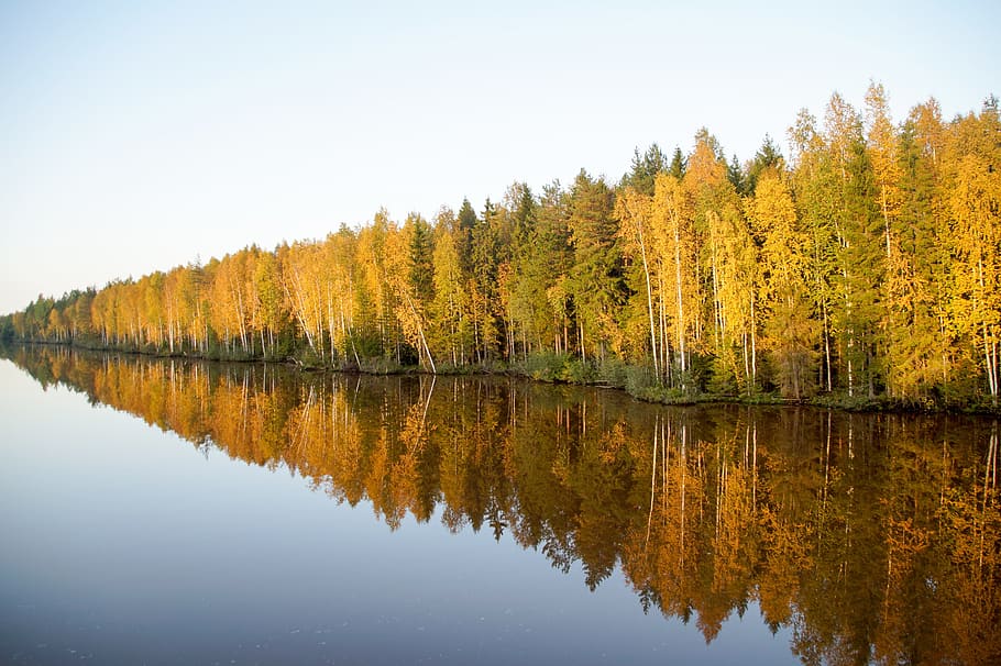 landscape, trees, autumn, water, reflection, beauty in nature HD wallpaper
