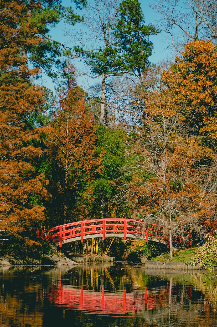 Bridge Surrounded by Trees, branches, bright, colorful, colors HD wallpaper