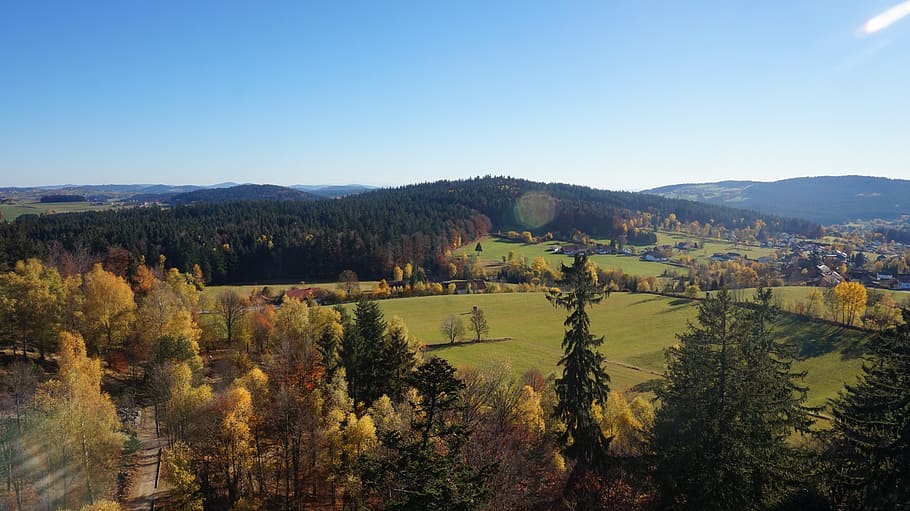 fall, autumn, nature, recreation, fall leaves, autumn leaves HD wallpaper