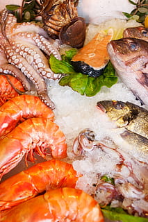 cooked sea foods, seafood, healthy, fresh, fish, restaurant HD wallpaper