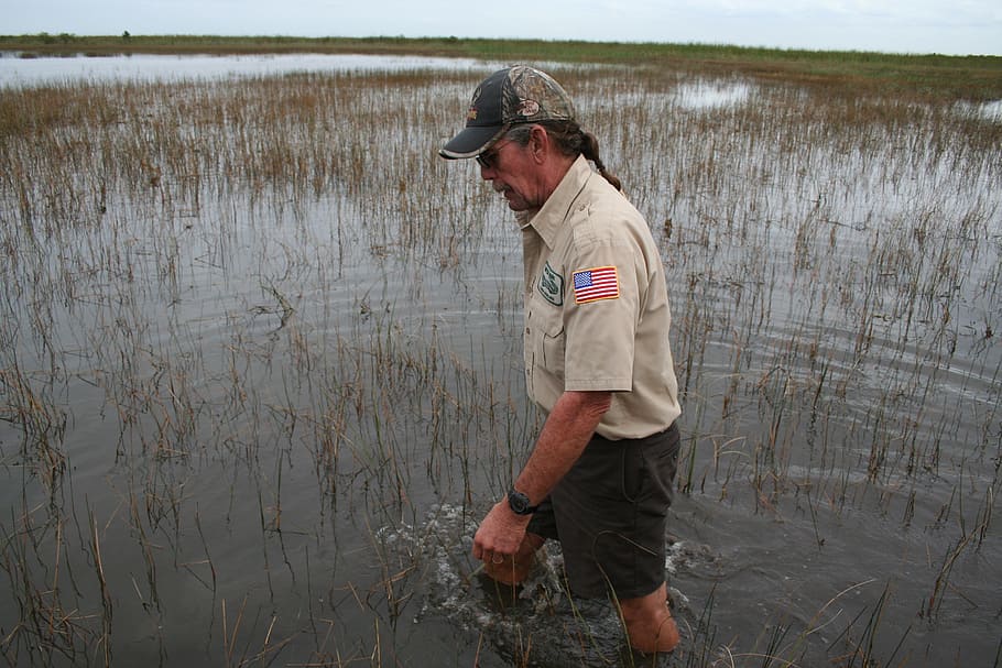 everglades, ranger, florida, one person, real people, standing HD wallpaper