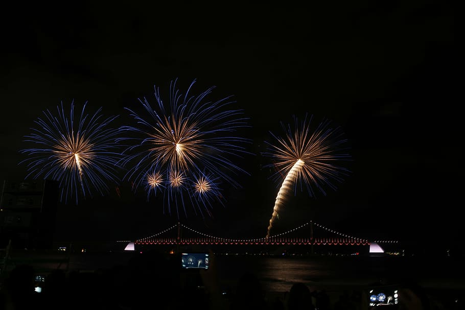 fireworks, light, light stem, sea, night, illuminated, motion HD wallpaper