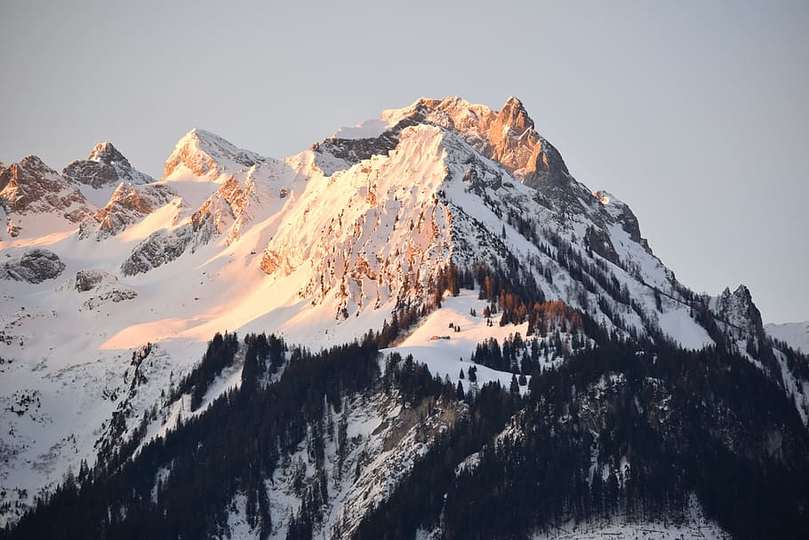 mountain, snow, winter, alpine, landscape, forest, snow landscape HD wallpaper