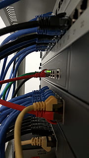 internet cables plug-in at network switch, lan, router, power cord HD wallpaper