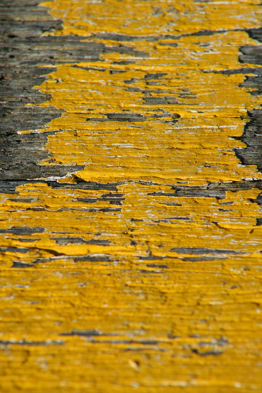 yellow, paint, rustic, flake, flaking, timber, wood, color HD wallpaper