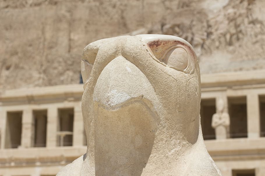 horus, statue, location, luxor, temple, ruin, pharaonic, god HD wallpaper
