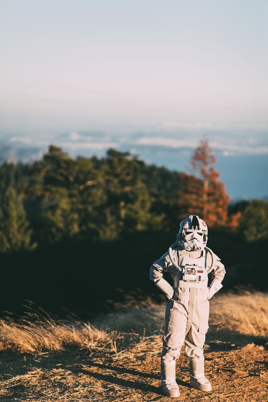 selective focus photography of person wearing Stormtrooper costume, person in Storm Trooper costume standing on ground with green trees background during daytime