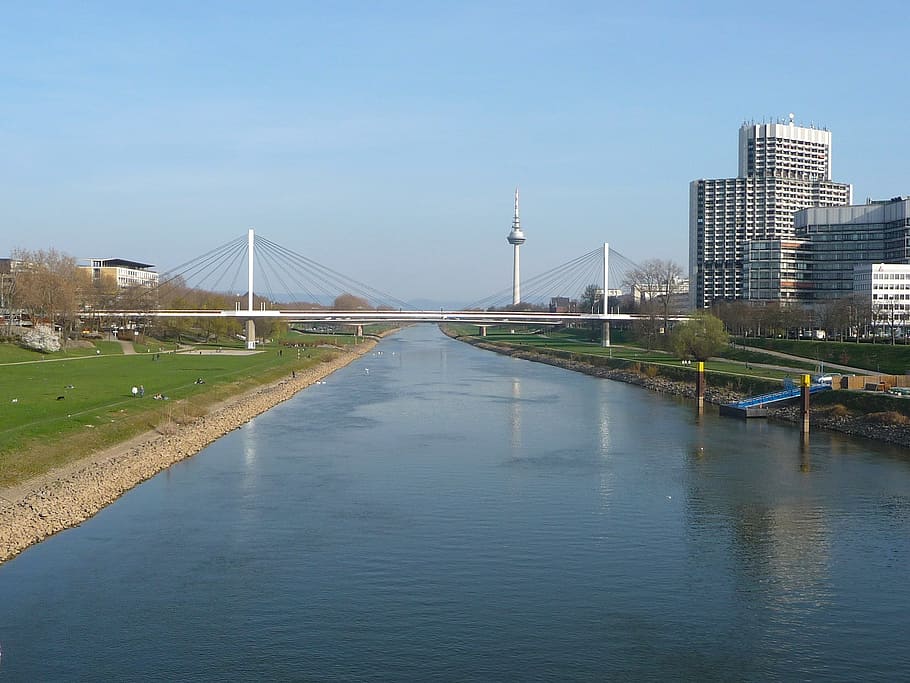 Mannheim, Germany, Germany, Bridge, Suspension, sky, clouds HD wallpaper
