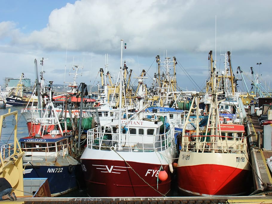 trawler, brixham, devon, fishing, industry, vessels, quay, port HD wallpaper